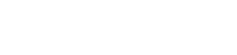 Logo_Punto.png